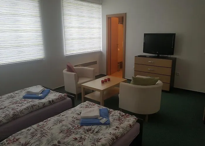 Pensionat Vyhlidka 3*